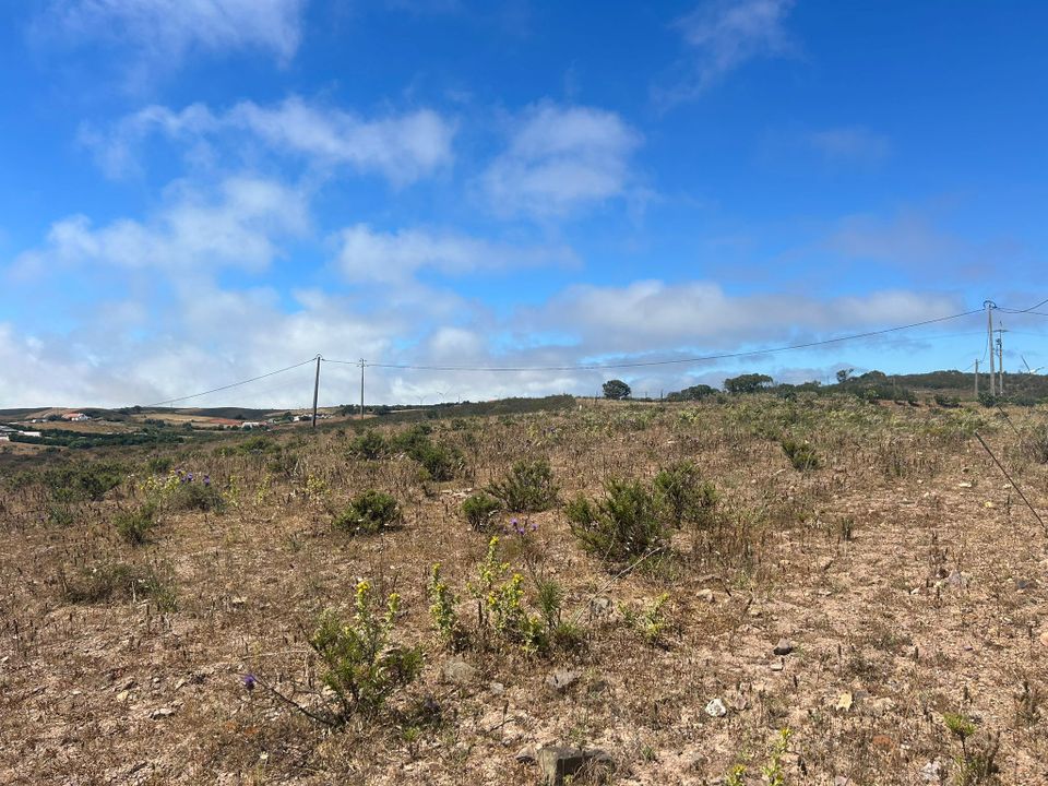 Helårsgrund i Vila do Bispo Municipality, Faro - foto 5